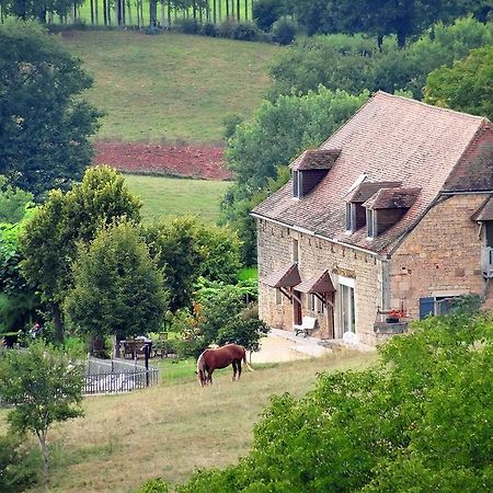 NailhacLe Domaine Du Cerneau住宿加早餐旅馆 外观 照片