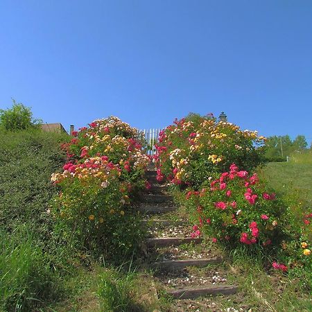 NailhacLe Domaine Du Cerneau住宿加早餐旅馆 外观 照片