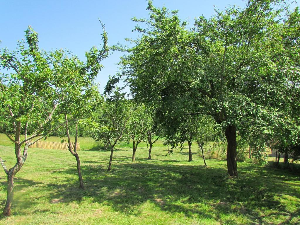 NailhacLe Domaine Du Cerneau住宿加早餐旅馆 外观 照片